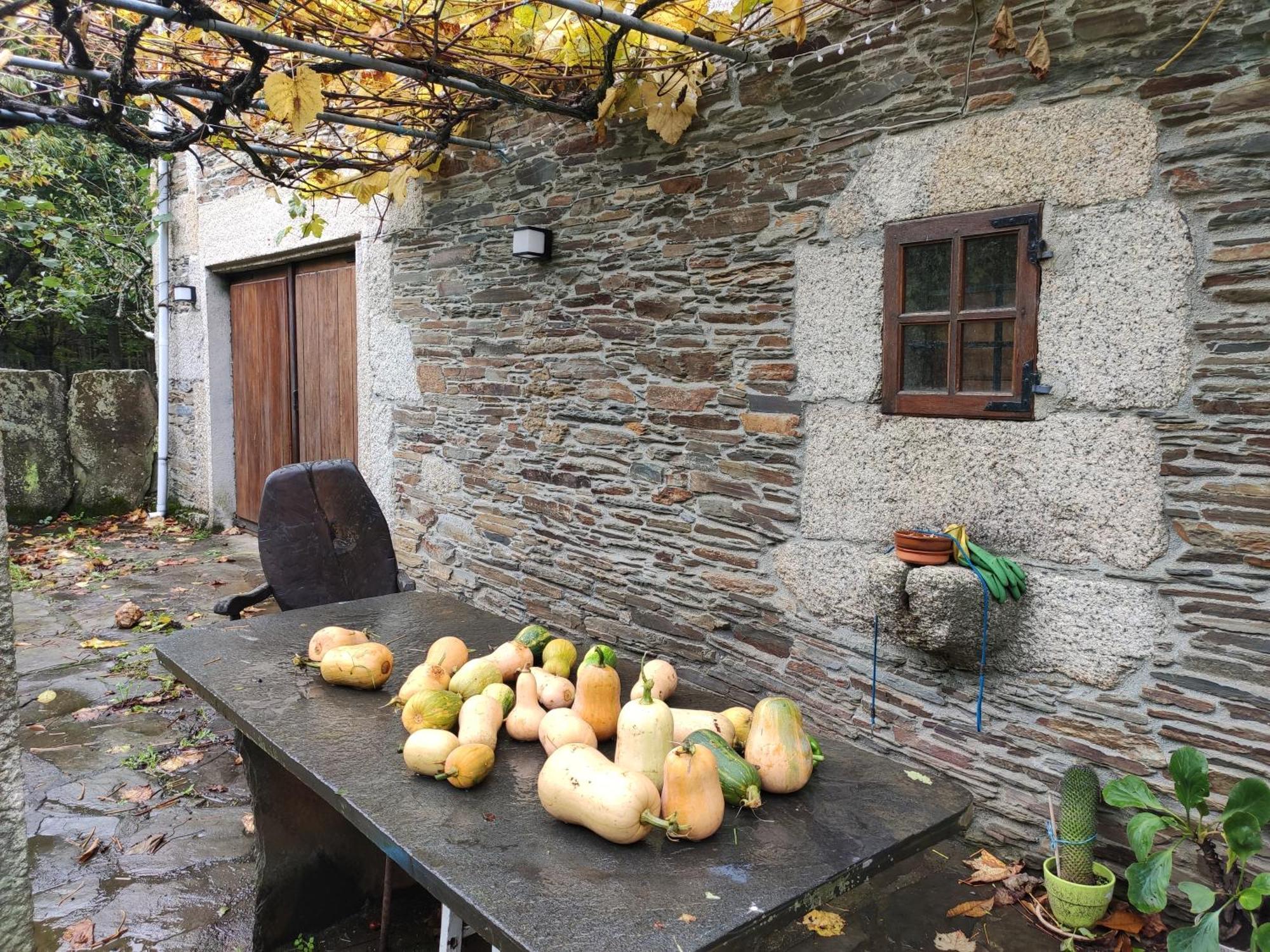 Casa Moucheiro Villa Lugo Eksteriør bilde